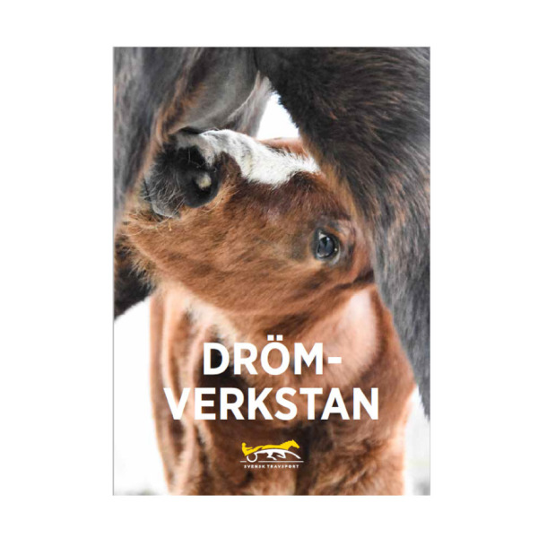 Drömverkstan